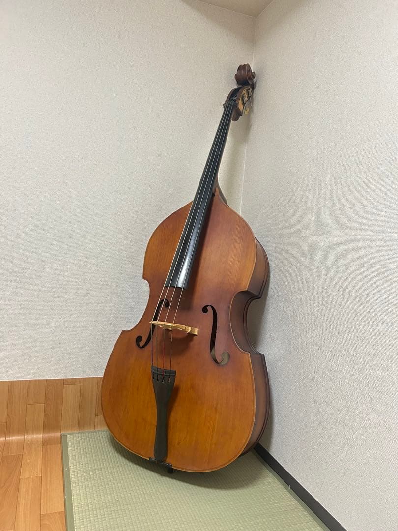 【かのん】【関西での手渡し】ハルシュタット コントラバス WBS-800