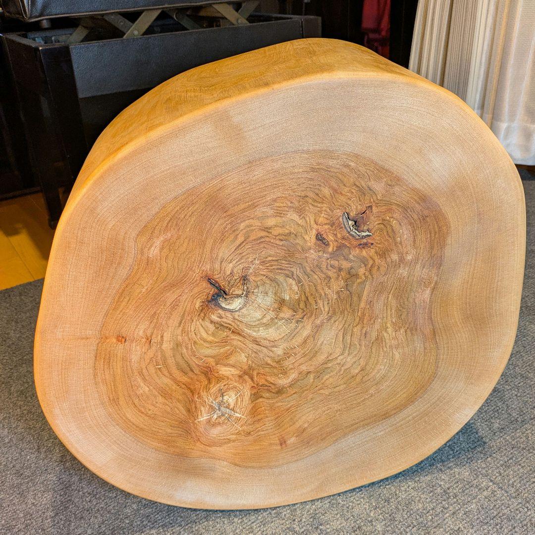 オールド　ウダイカンバ　切り株　輪切り　高さ約15㎝