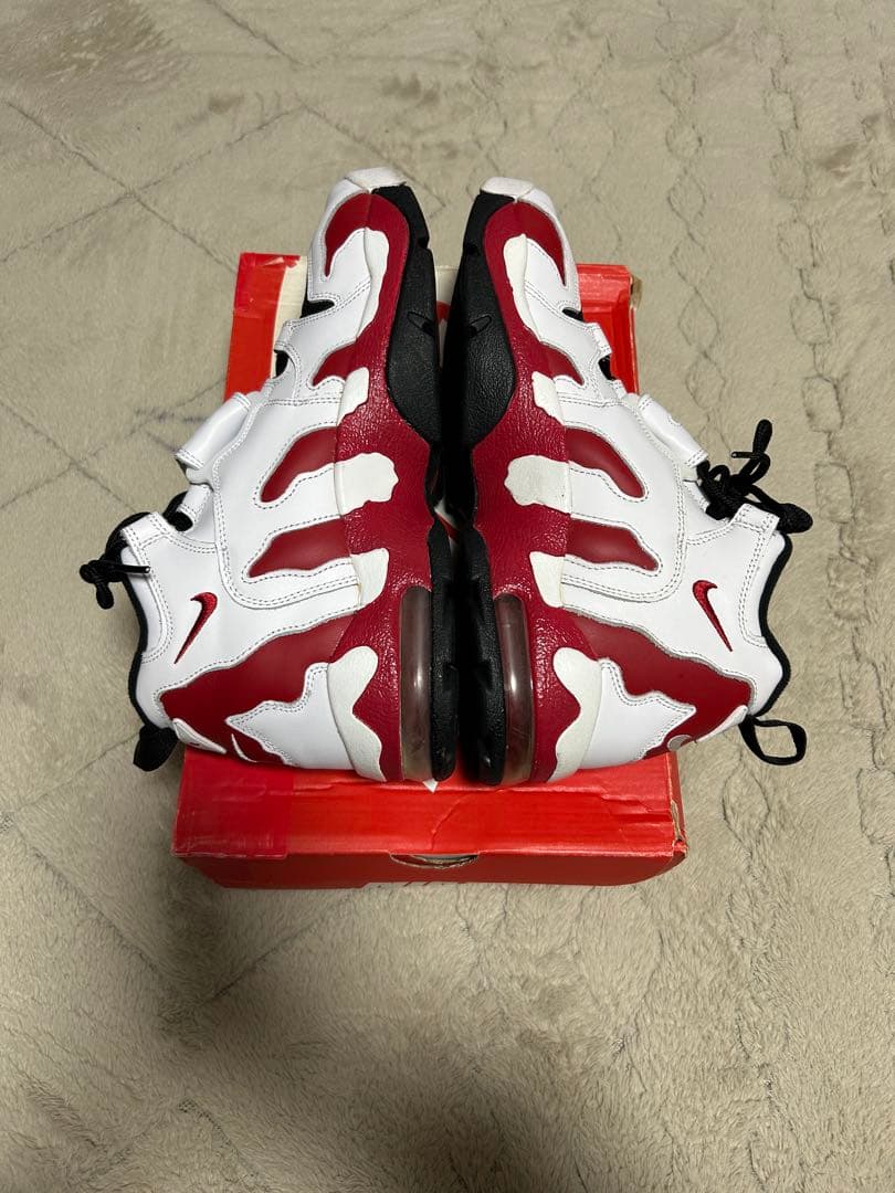 【美品】NIKE AIR DT MAX 96 27.5cm 古着