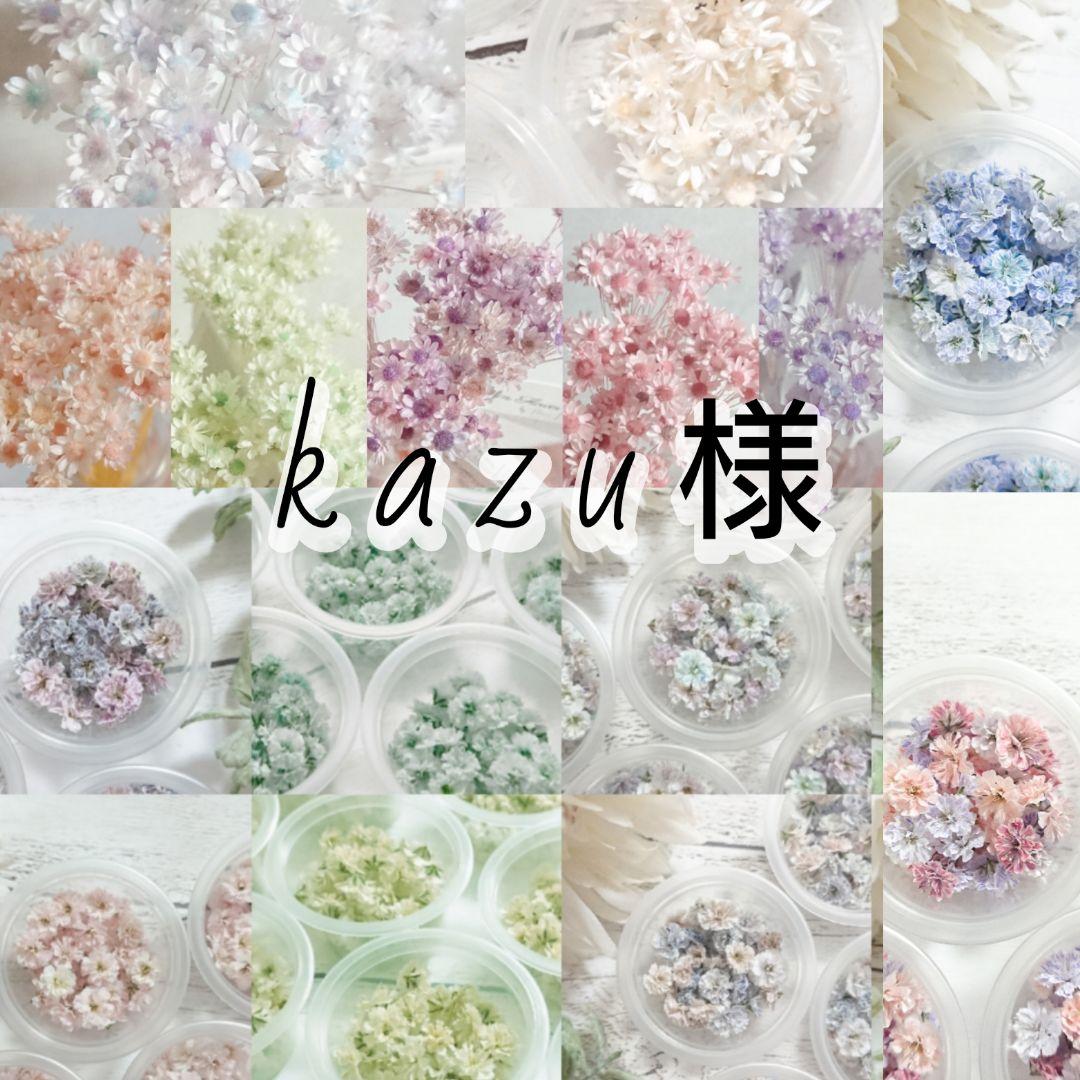 【kazu様おまとめ】ドライフラワー