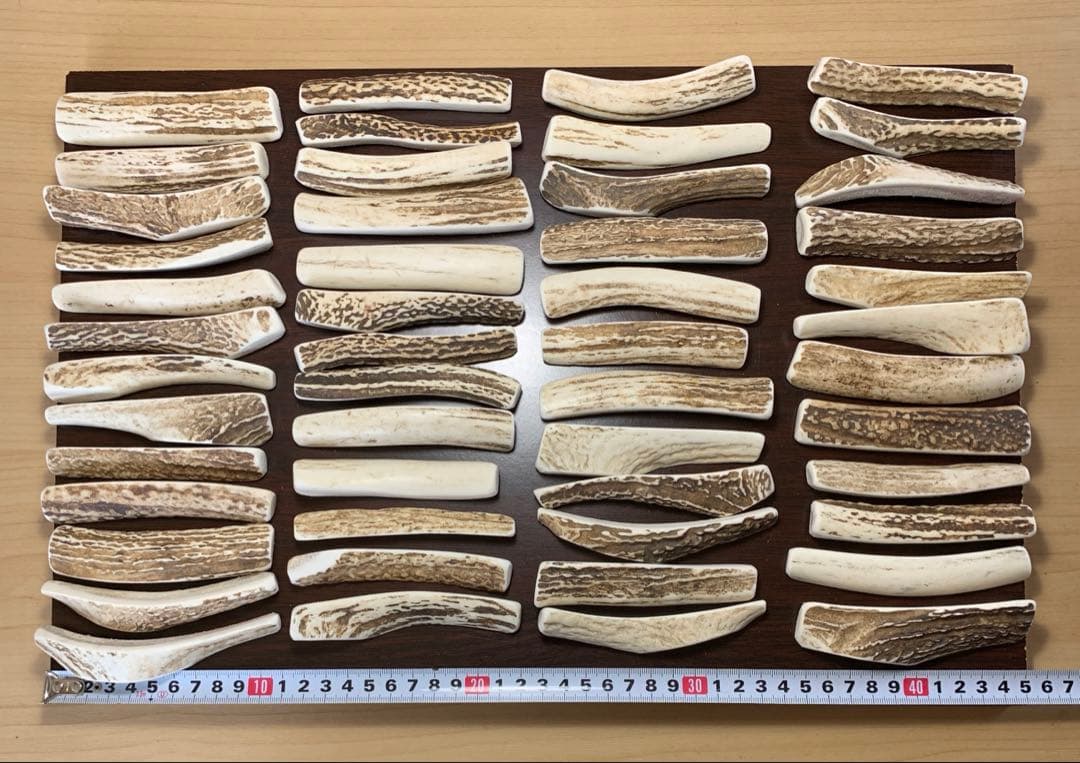 No.2191『鹿角4つ割り50本セット』鹿の角　エゾ鹿　鹿角　蝦夷鹿