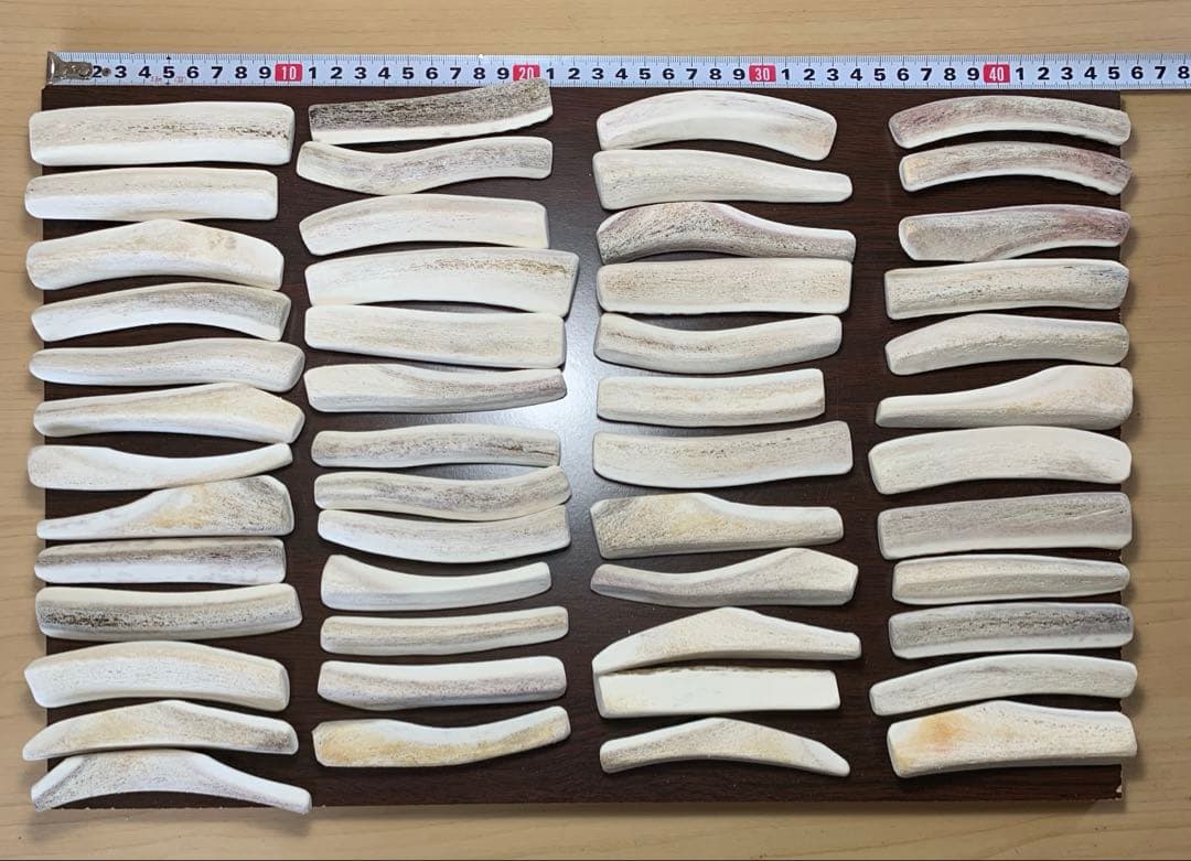 No.2191『鹿角4つ割り50本セット』鹿の角　エゾ鹿　鹿角　蝦夷鹿