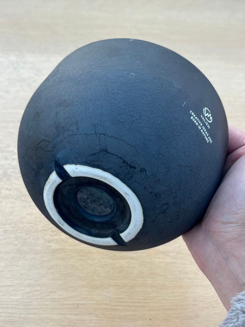 高*慎様 VALIEM バリエム　植木鉢　中古　（検　アガベ　塊根植物