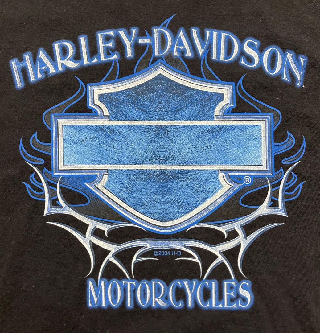 t*t様 Harley-Davidson FLETCHER'S LS 00s T