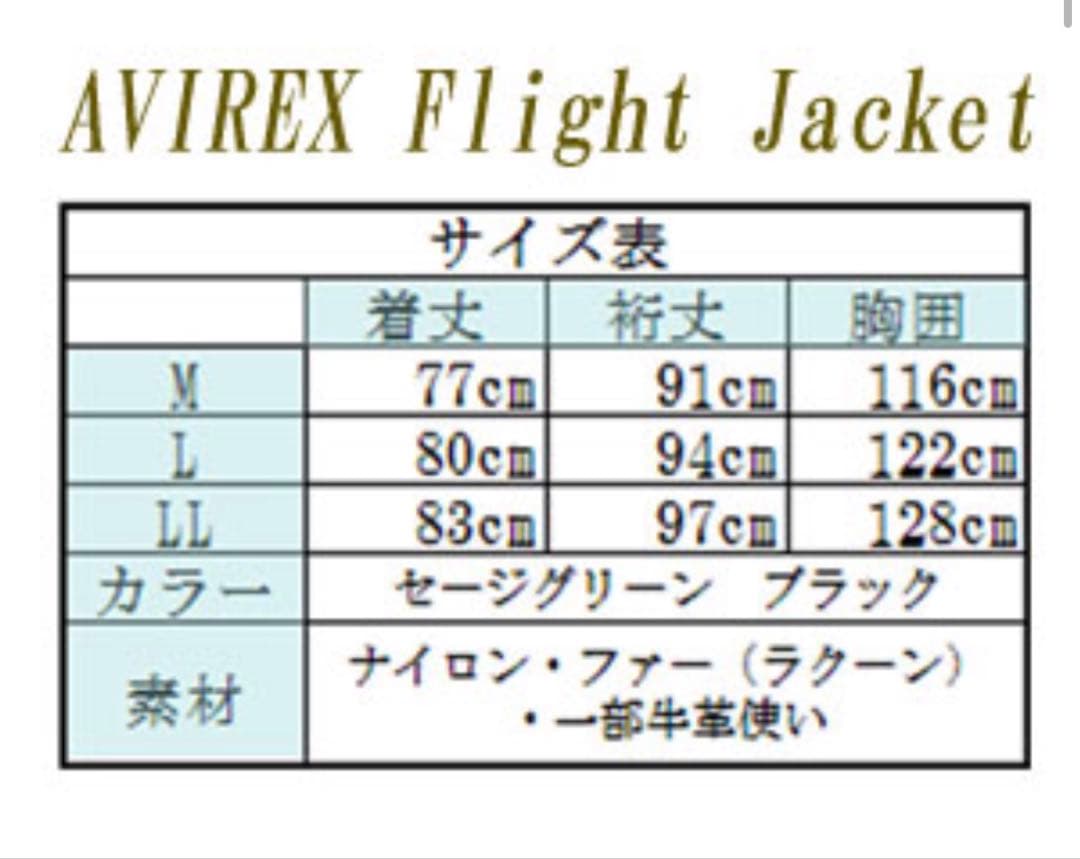 AVIREX N-3Bフライトジャケット