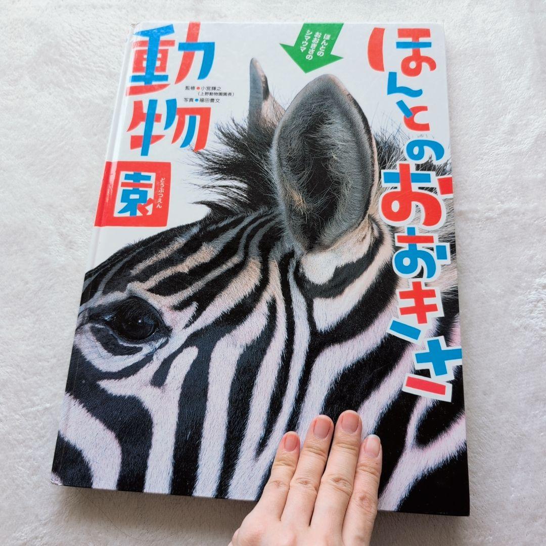 ふ*ん様 くもん推薦図書/乗り物絵本多数　幼児向け中古40冊④(メルカリ出品7/