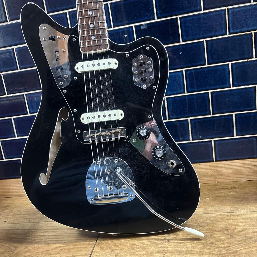 セミホロウジャガー