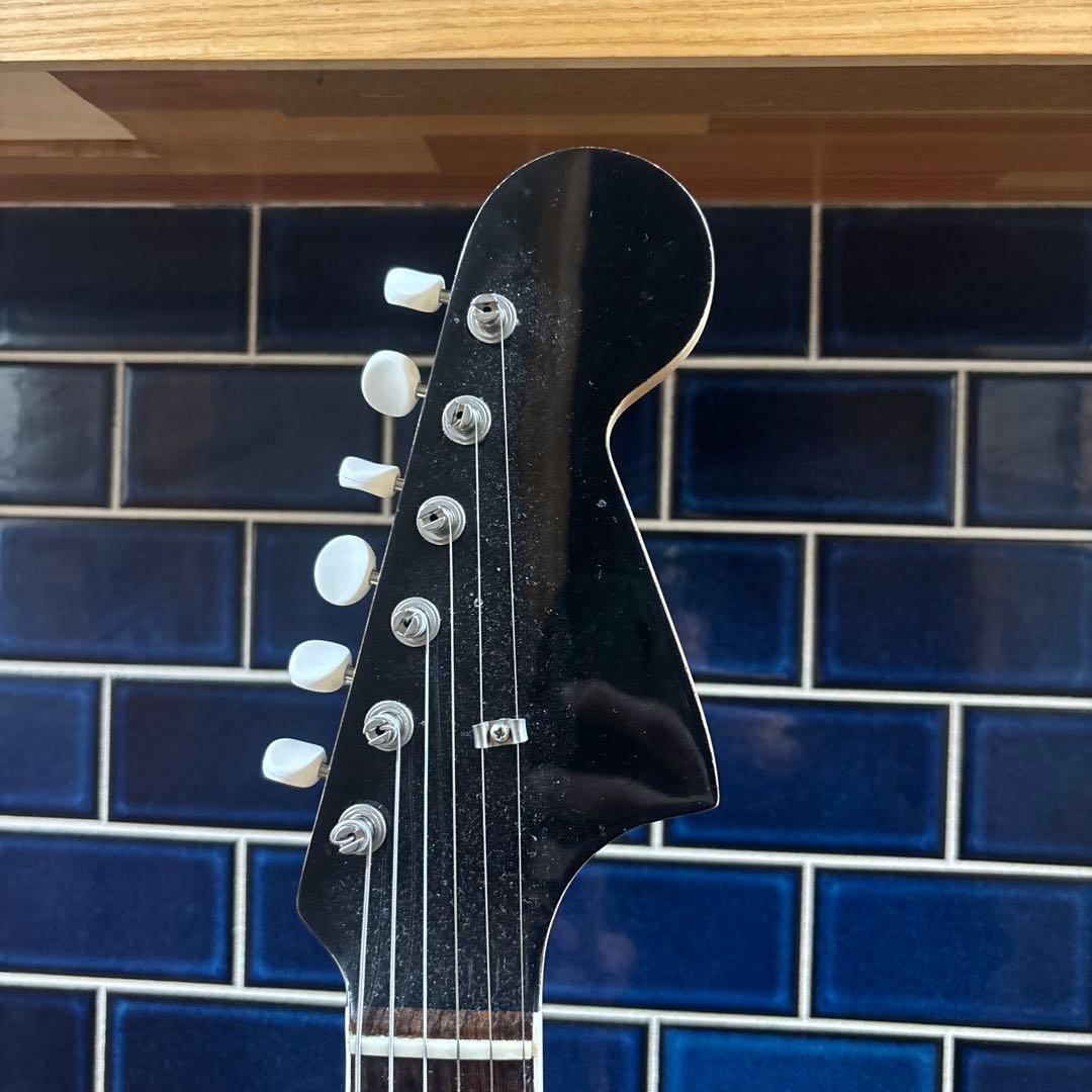 セミホロウジャガー