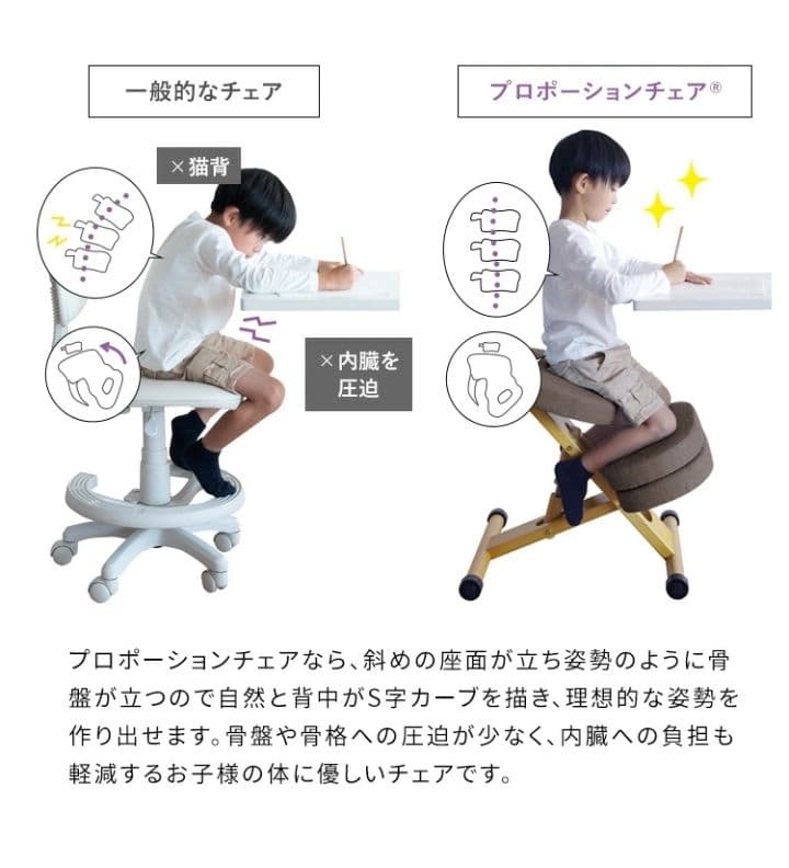 宮武製作所 姿勢がよくなる プロポーションチェア CH-N88　姿勢矯正