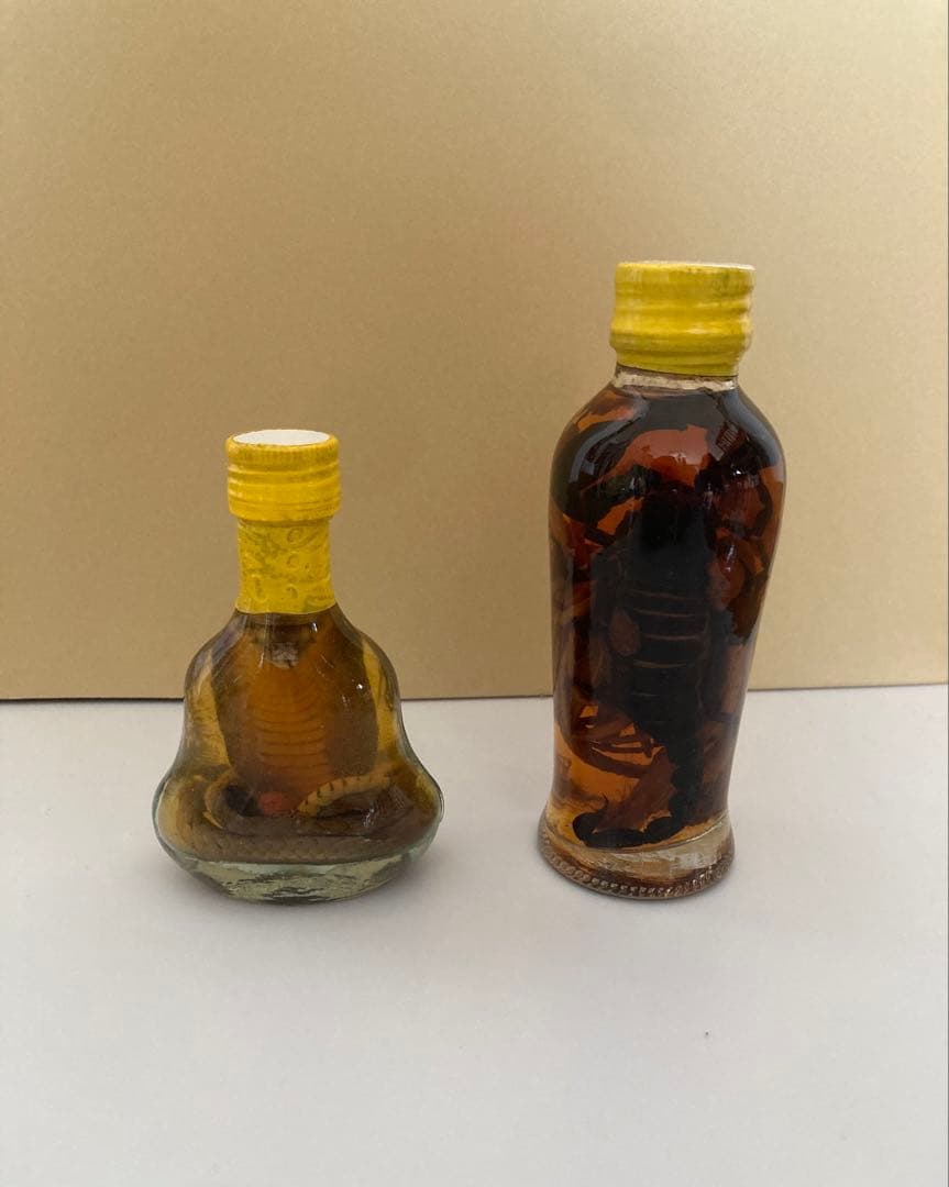 蛇とサソリの瓶入りの置き物