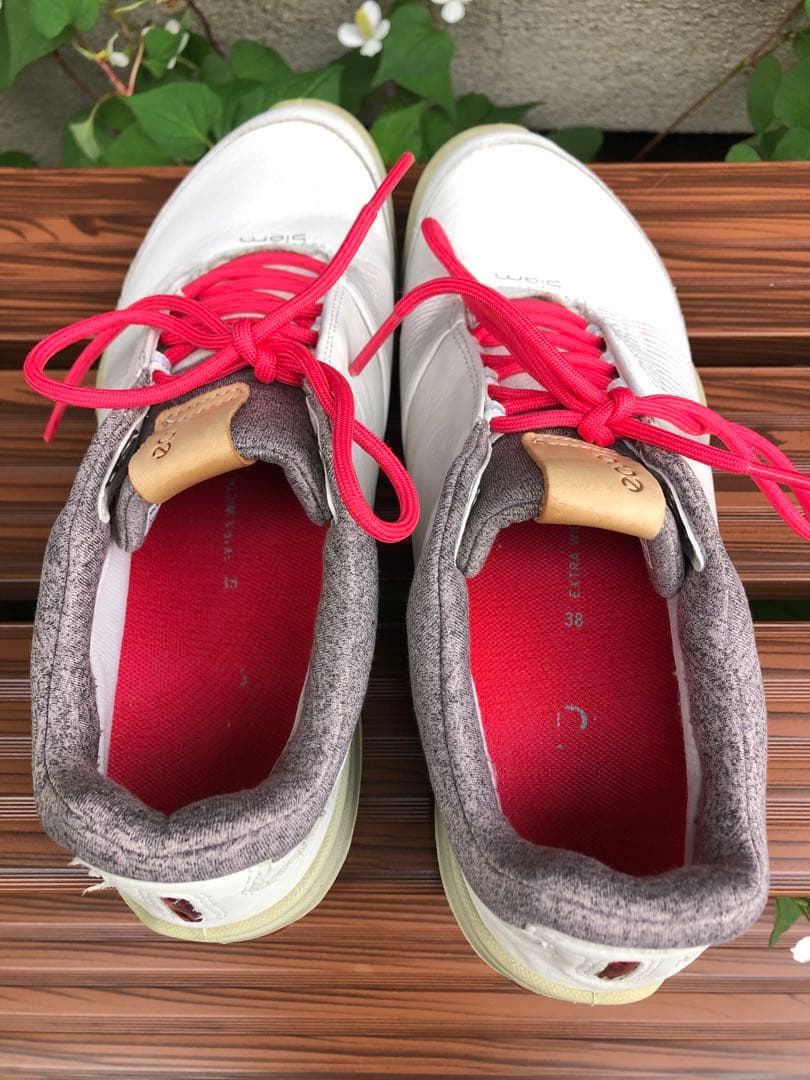 347番 美品ecco biom ゴルフシューズ38 24.0cmスパイクレス