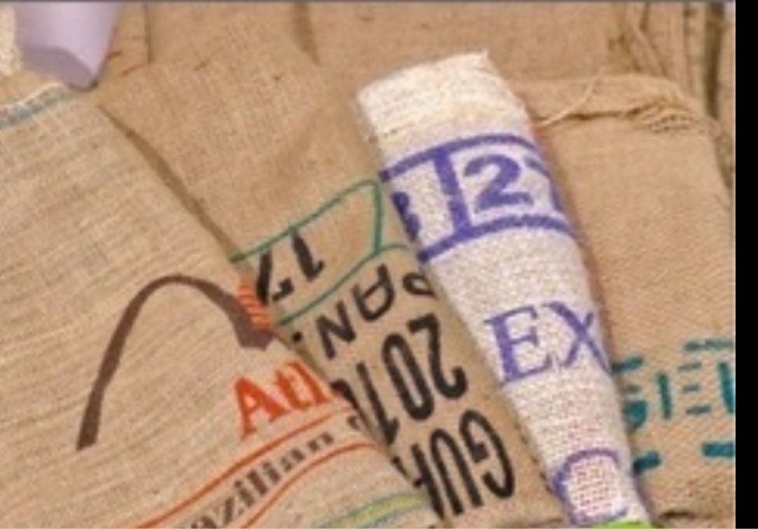 おまけ付き★アルザスツリー180 【AIsace正規品】クリスマス 2023ve