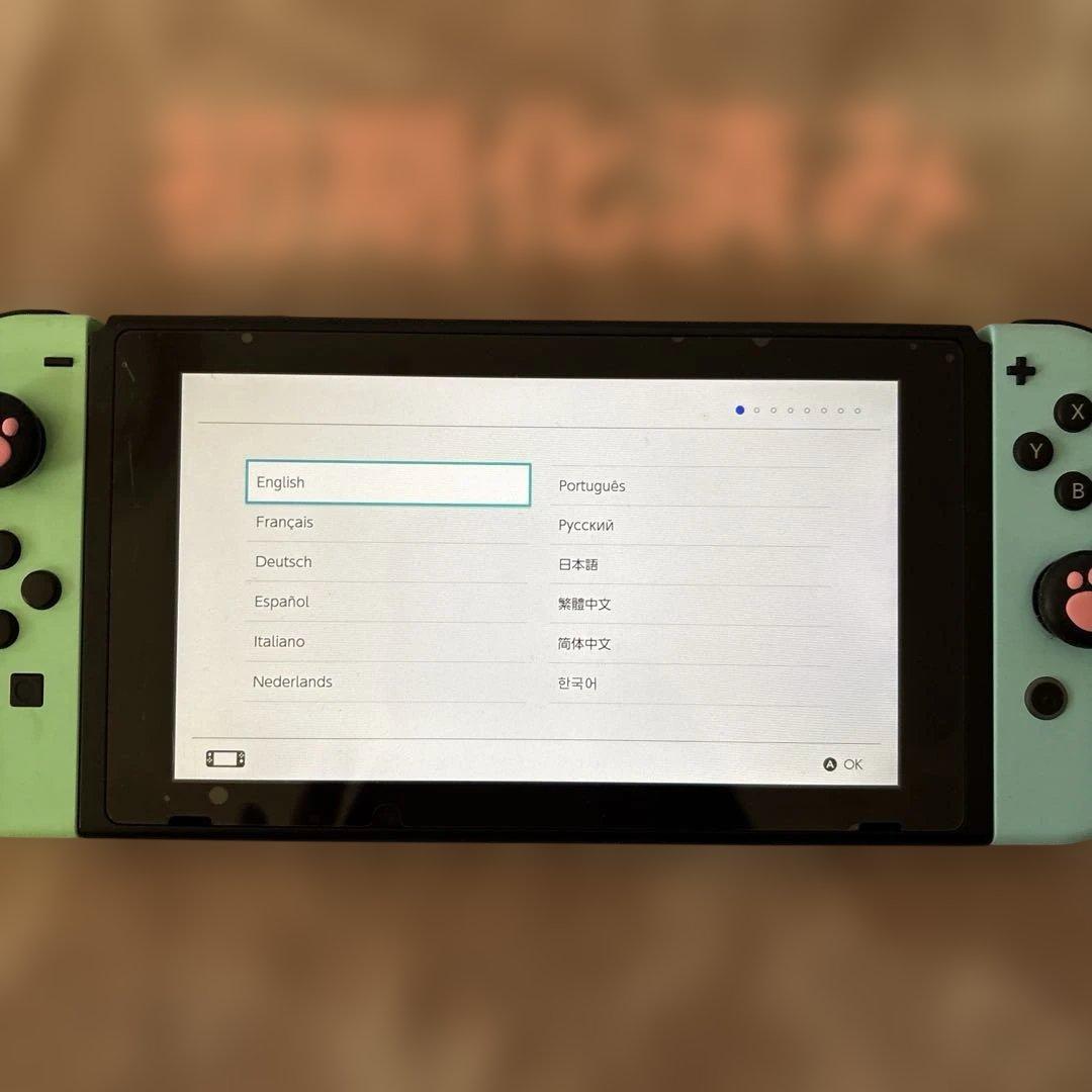 Nintendo Switch あつまれ どうぶつの森