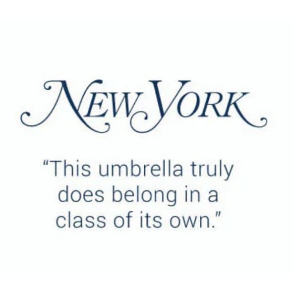 davek Solo 折りたたみ傘 黒/緑⭐️収納ケース付き