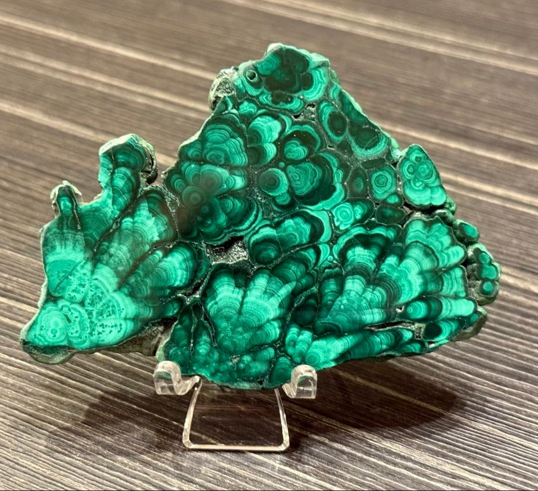 【専用】おまとめ2点