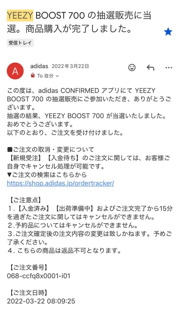 靴 Yeezy 700 wave runner 26.5cm