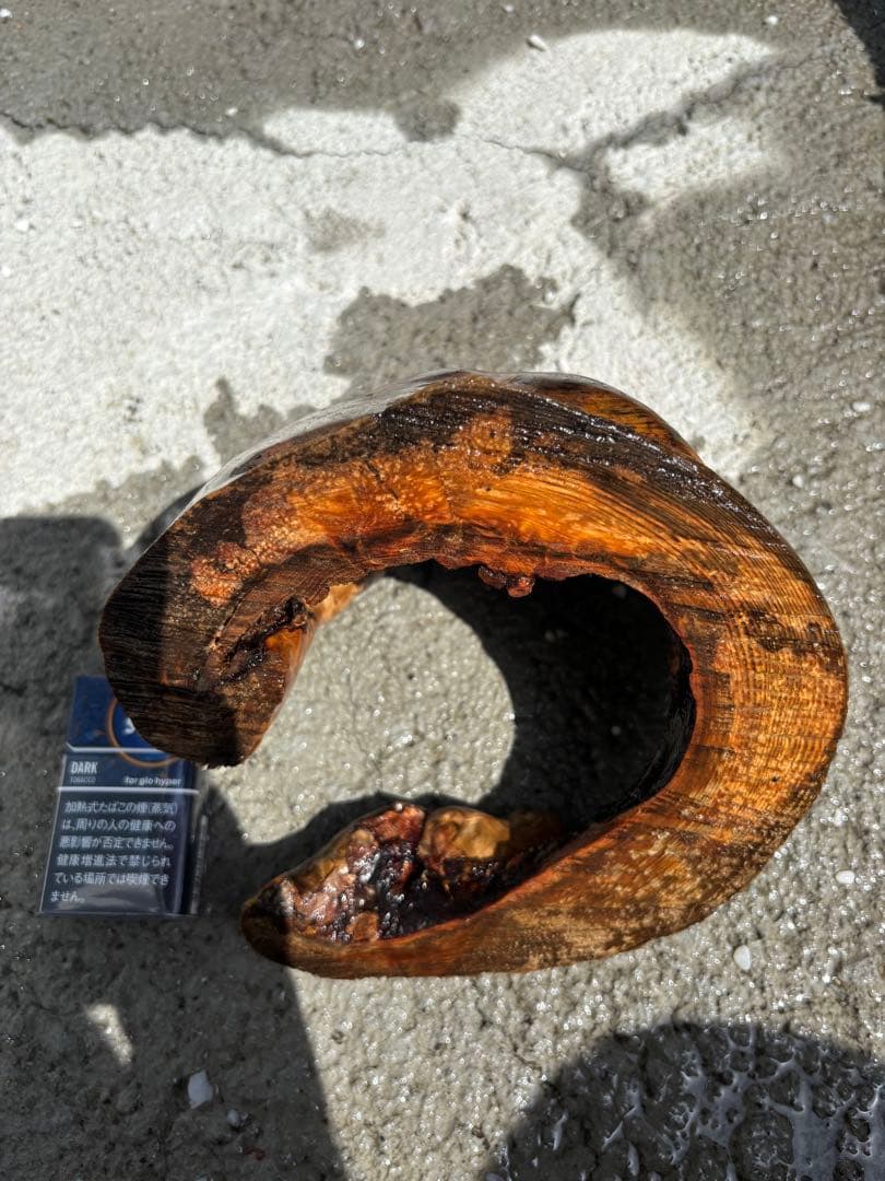 流木　アクアリウム