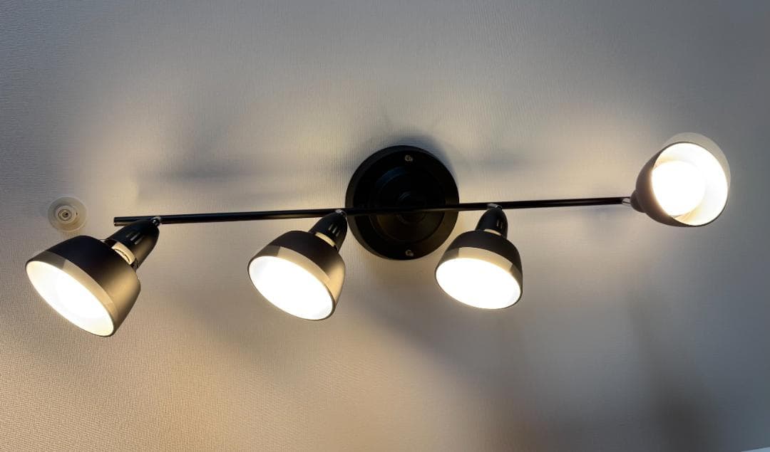 アートワークスタジオ シーリングランプ AW-0359 BK（電球なし）