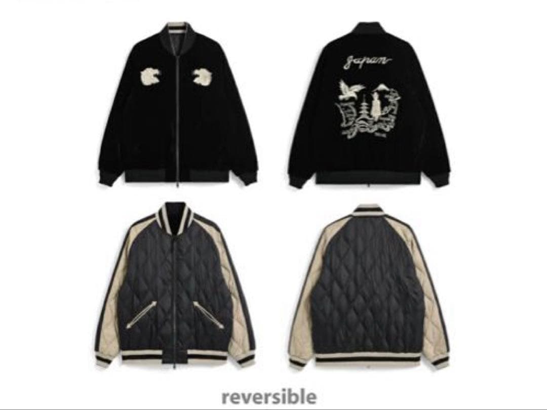 TAION リバーシブルインナーダウン