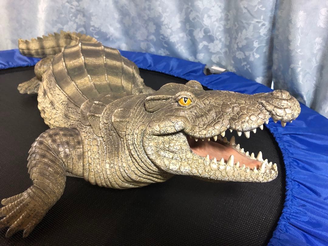 リアルなワニの置き物　約60cm