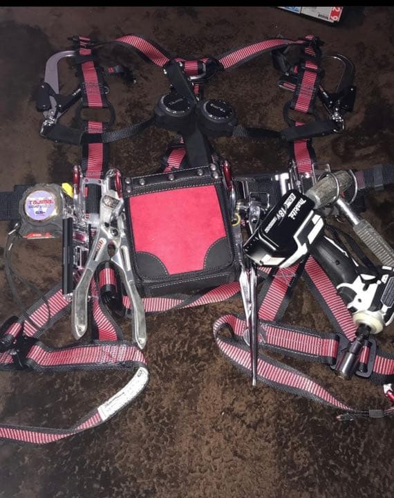 タジマ　ふるはーねす