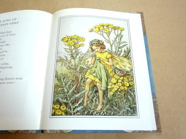 ★ シシリー・メアリー・バーカー 洋書 画集 花の妖精シリーズ 12冊セット ★