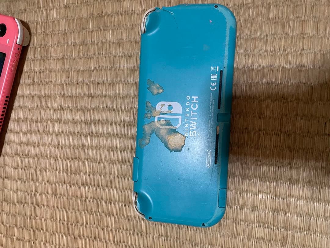 ジャンク品Nintendo Switch &Lite 本体