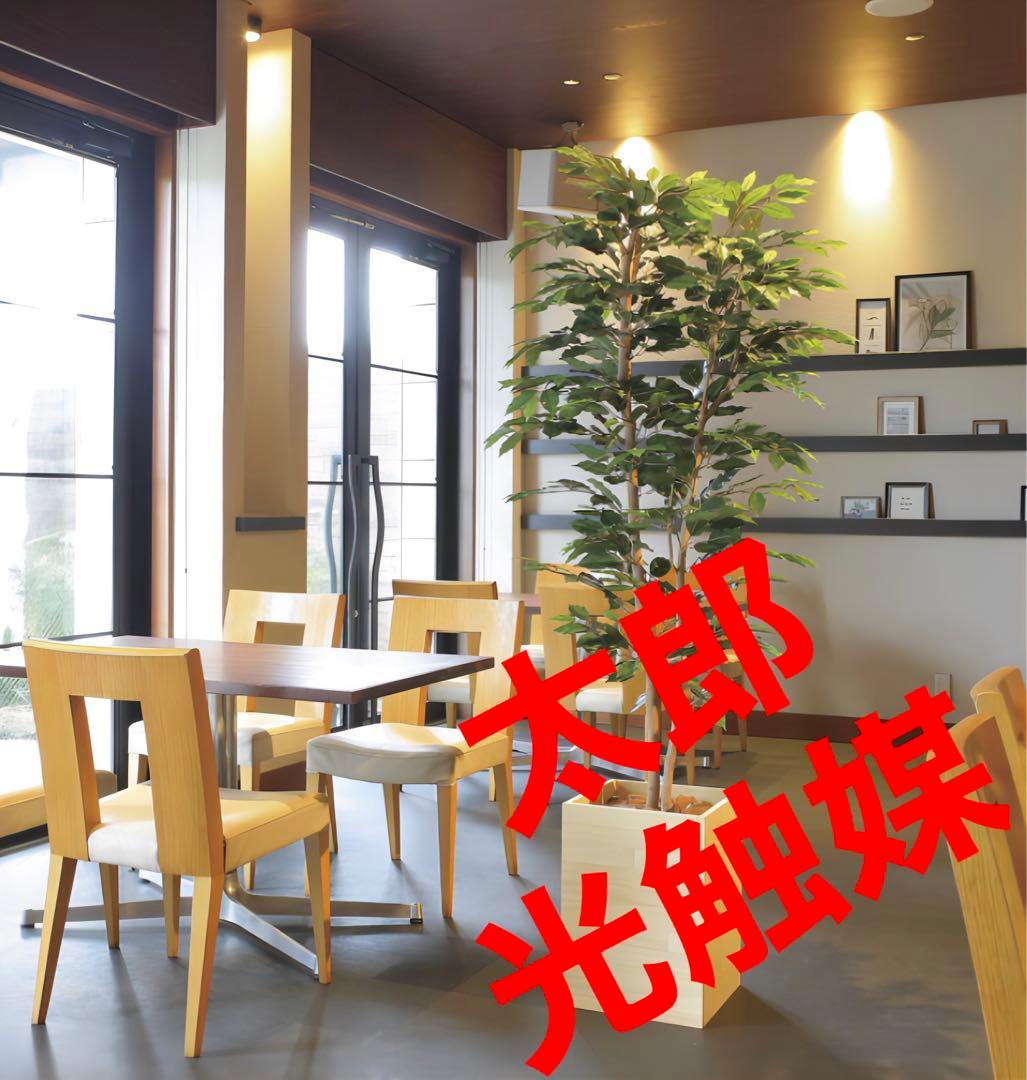 光触媒　人工観葉植物　フェイクグリーン　ウッドボックスベンジャミン1.8m