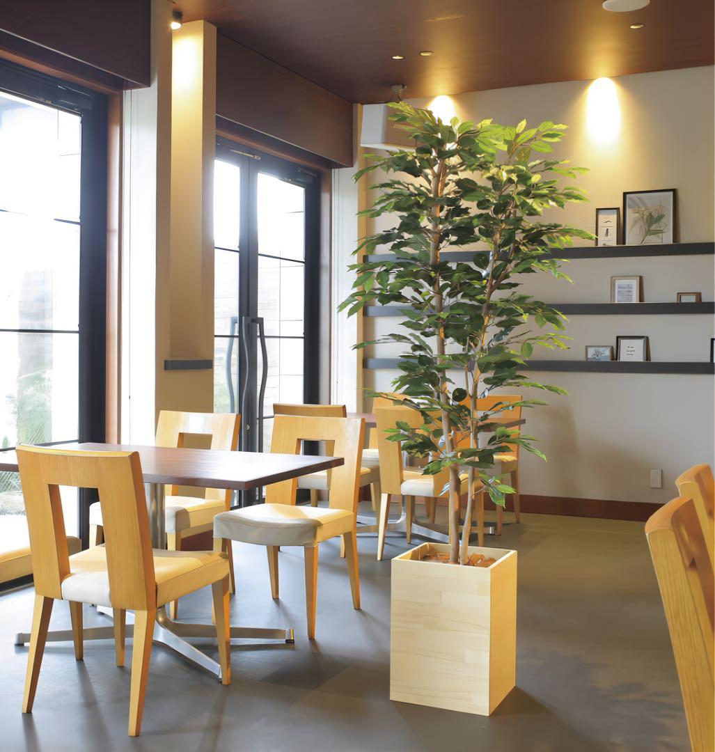 光触媒　人工観葉植物　フェイクグリーン　ウッドボックスベンジャミン1.8m