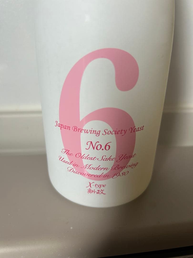 新政　No.6 x-type 2024