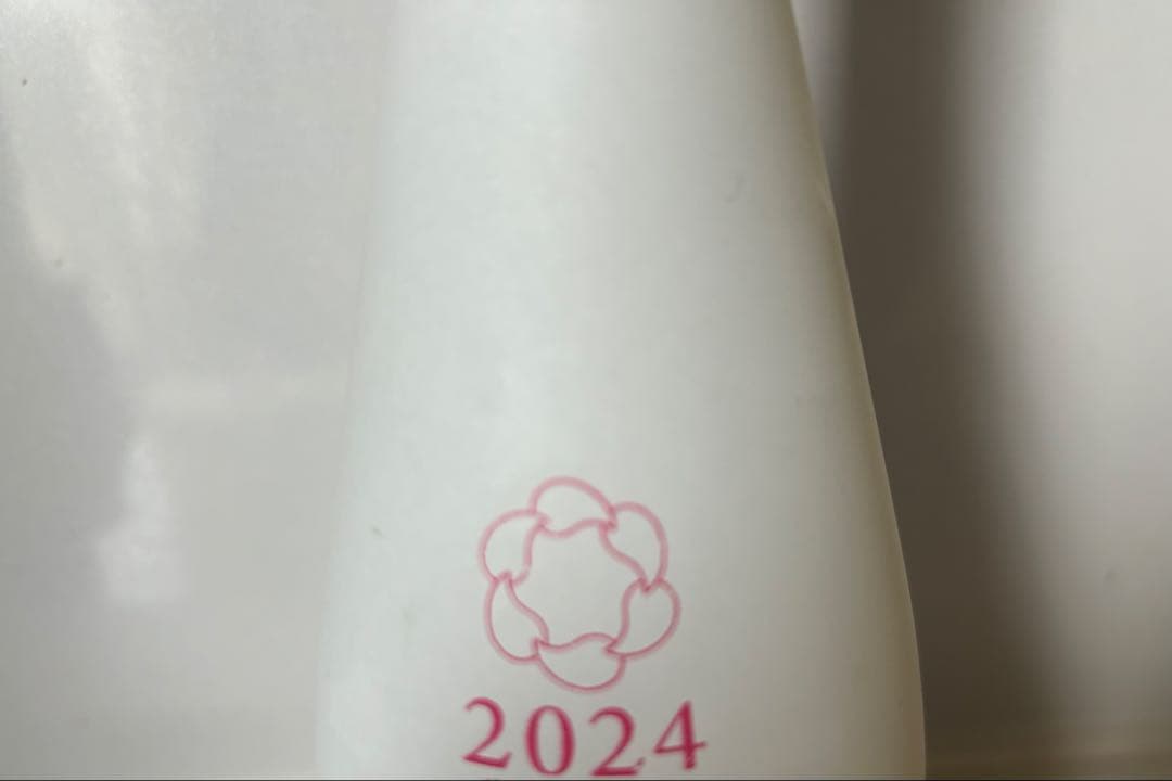 新政　No.6 x-type 2024