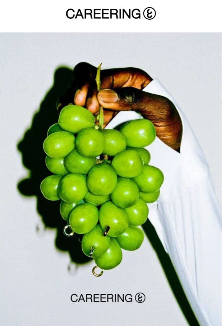 CAREERING片耳用/藤原ヒロシ コラボ silver925/18K素材使用