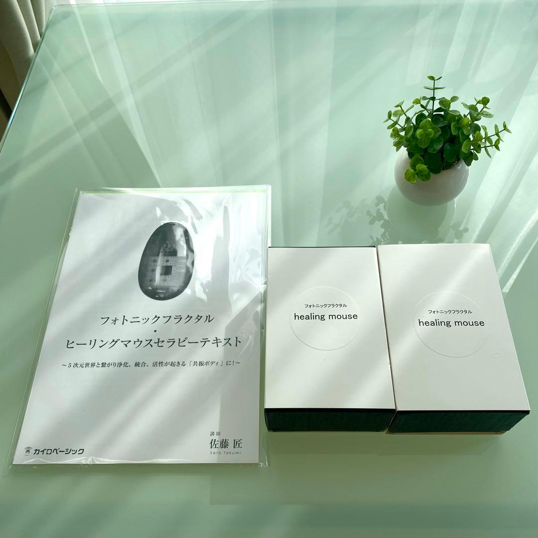 フォトニックフラクタル　ヒーリングマウス