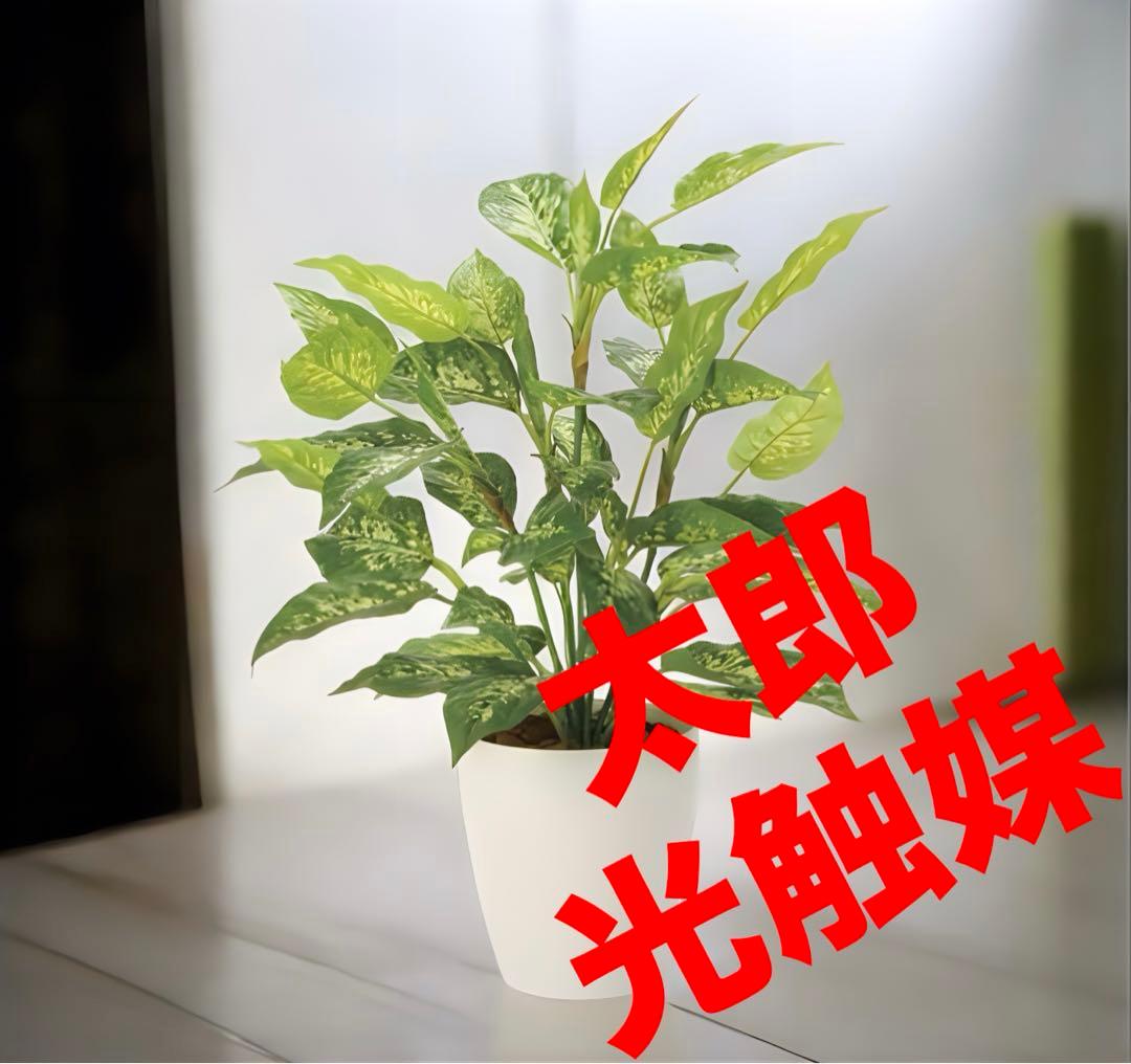 光触媒　人工観葉植物　フェイクグリーン　フレッシュディフェンバキアL