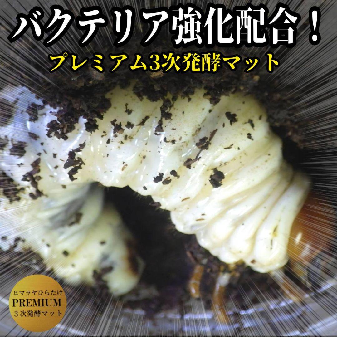 そう　プレミアム発酵マット40リットル