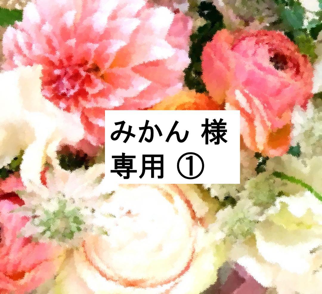 みかん ① 2023年 最新版フルセット 未使用美品多数 DWE