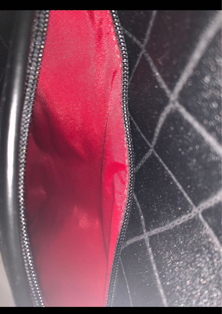 【はなちゃん】SWANY キャリーバッグ　Lサイズ