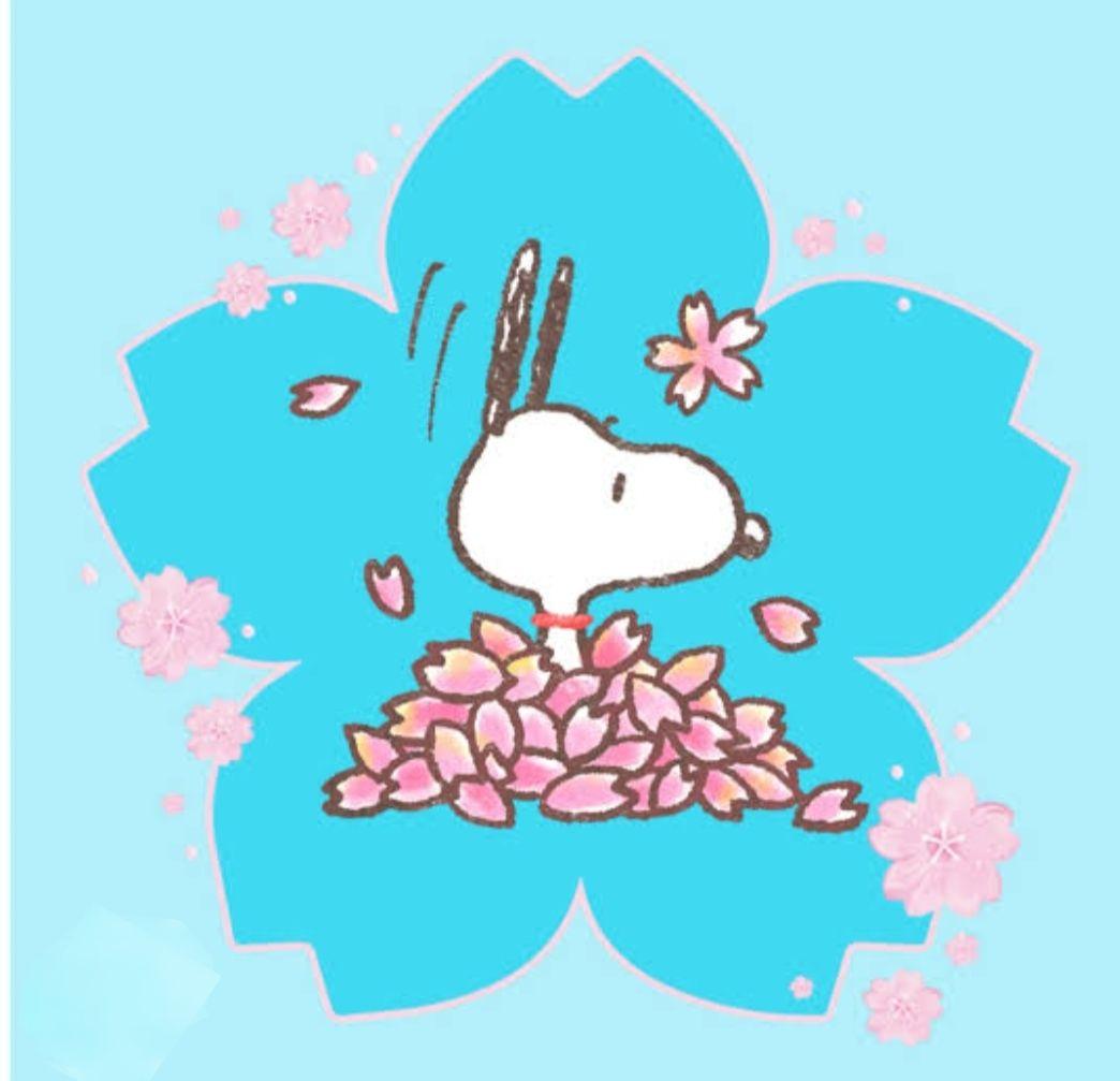 チョイス カタログ リンベル 内祝 卒業 合格 自宅保管お返し まとめ割あり★