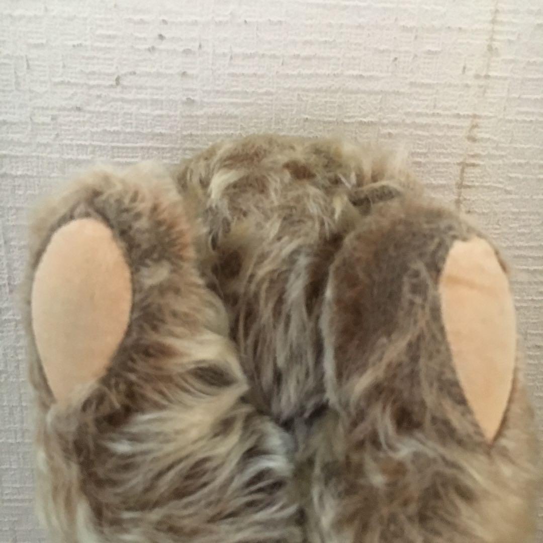 寝転び　ゾッティ