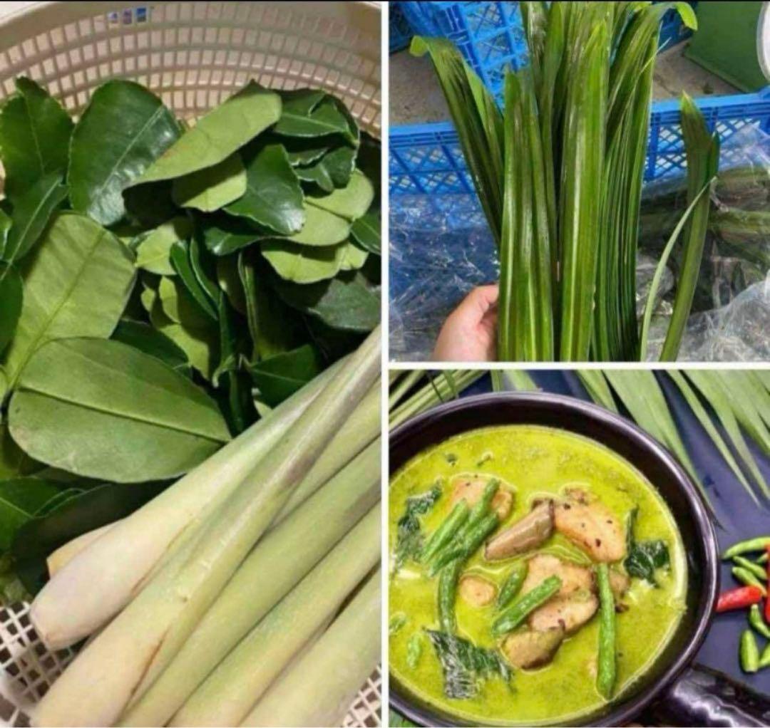 セットレモングラス200gコブミカン葉30gパンダンリーフ5 枚ホムデンオマケ。