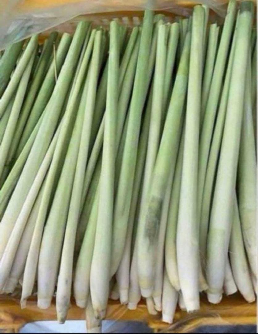 セットレモングラス200gコブミカン葉30gパンダンリーフ5 枚ホムデンオマケ。