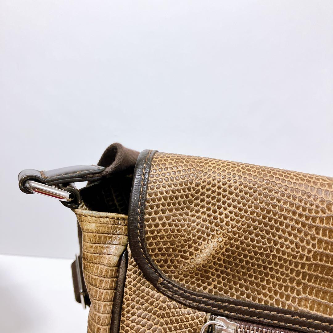 【逸品】ETRO レザー　メッセンジャー　ショルダーバッグ　蛇柄　型押し