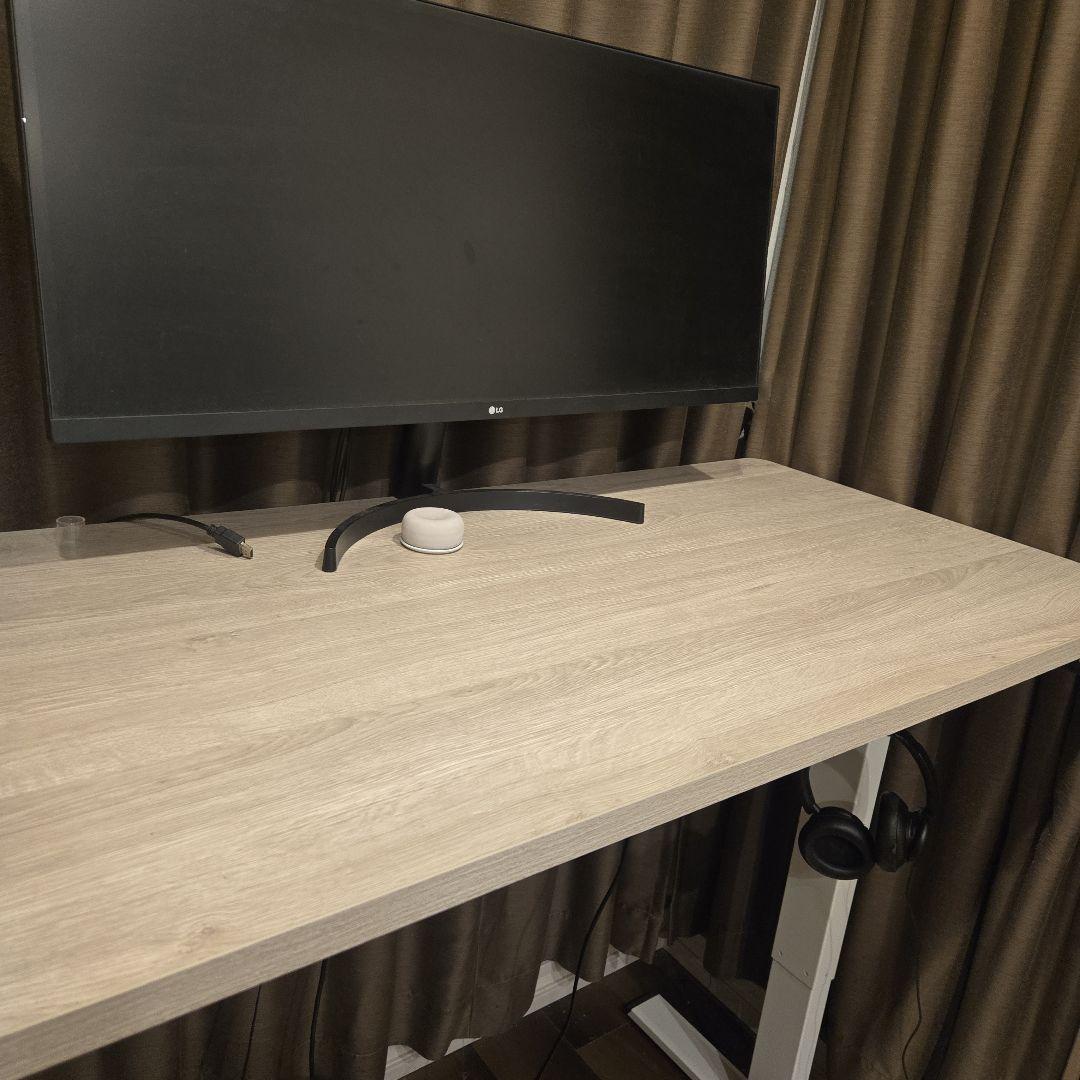 FLEXISPOT EG1 電動昇降デスク 120ｘ60ｘ73-118cm