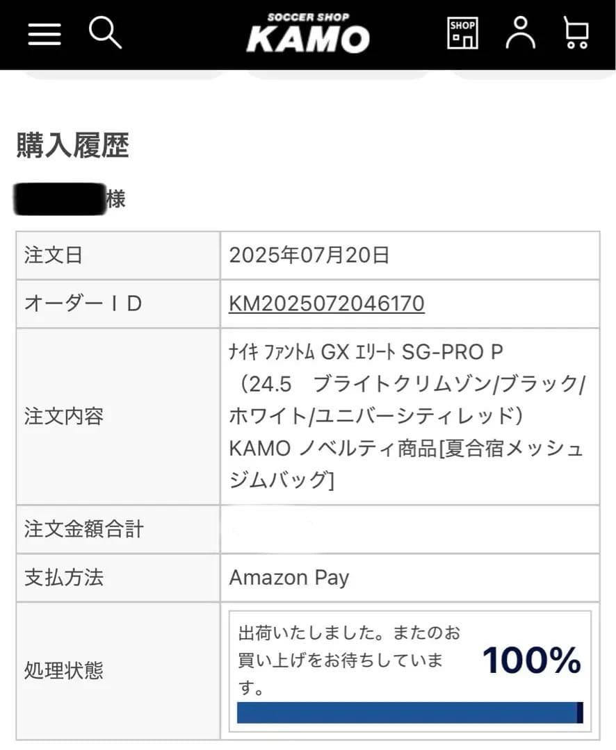 【美品】PHANTOM GX ELITE SG-PRO P