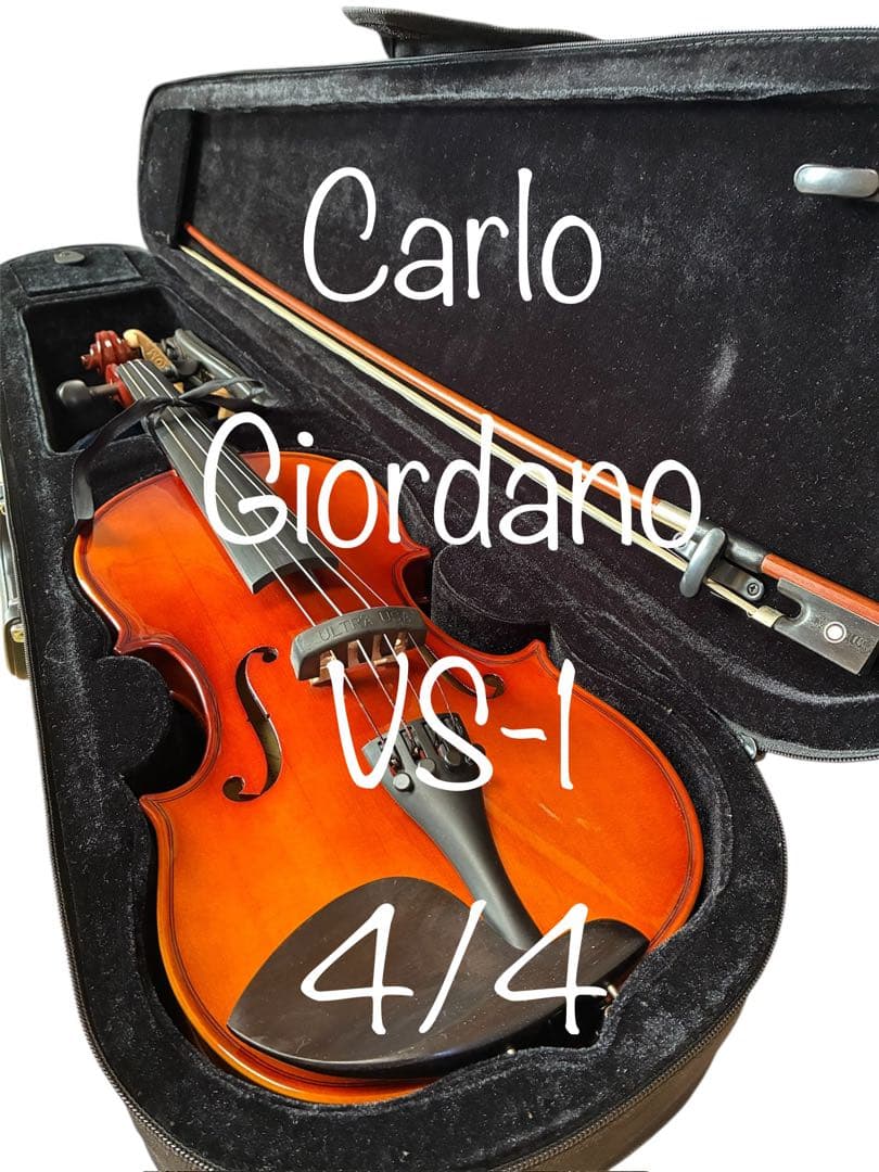 【極美品】カルロジョルダーノ　バイオリン　VS-1 4/4 2020年