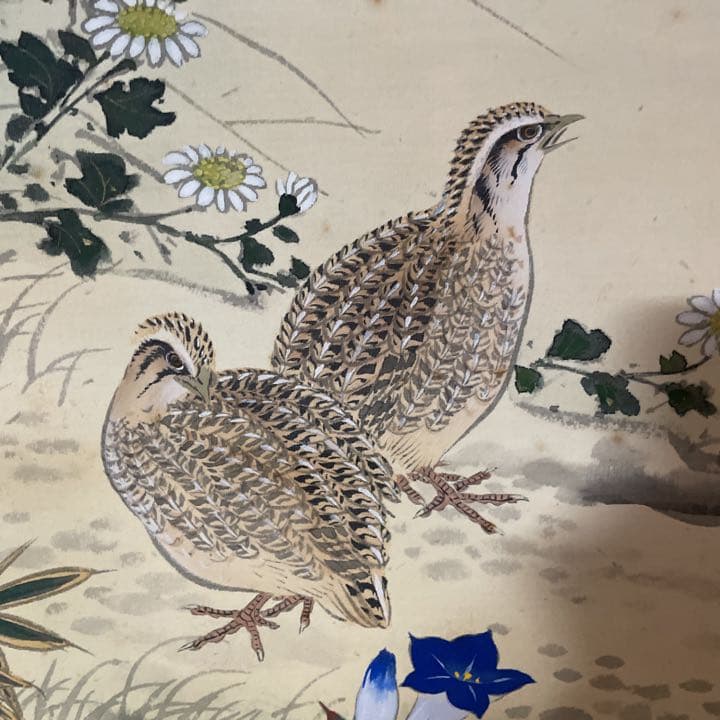 分部五鈴先生　秋草と鶉図　写真が全てです