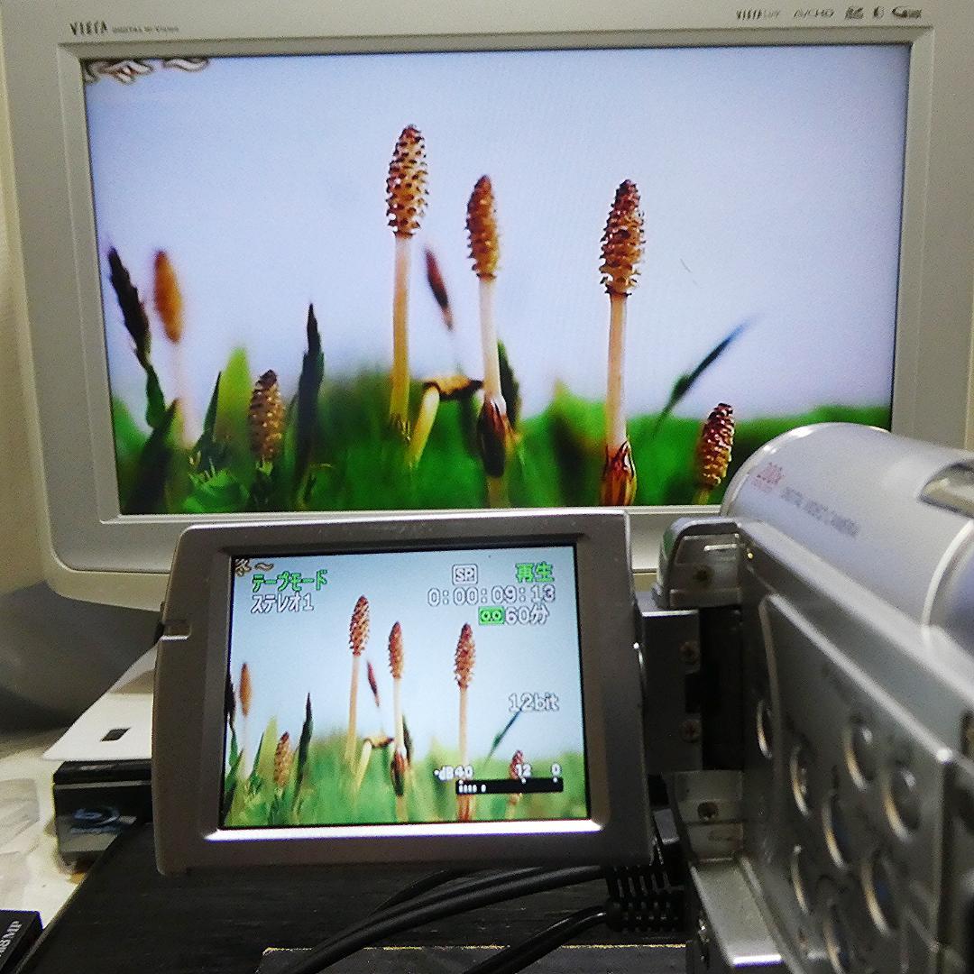 動作良好 キャノン IXY DV M3 MiniDVビデオカメラ DVD化に最適