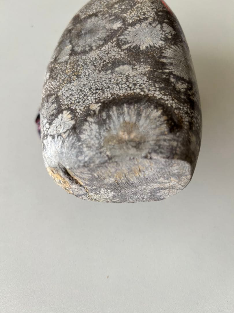 菊花石 木製台座付き