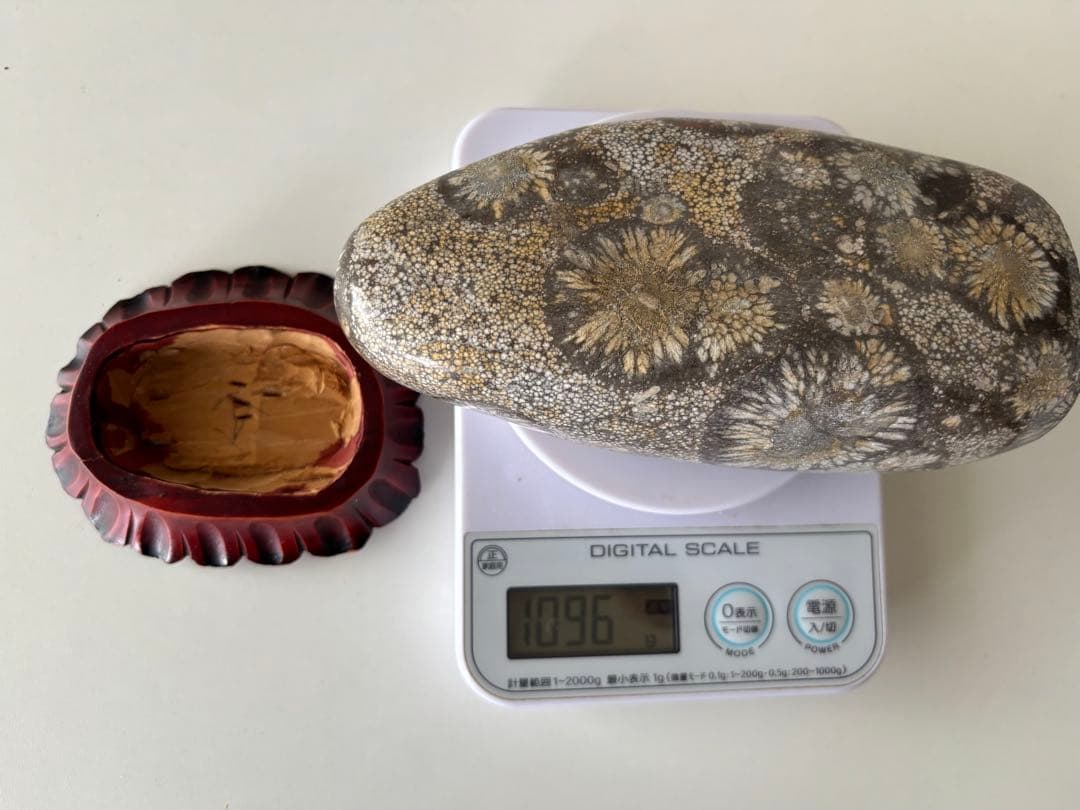 菊花石 木製台座付き