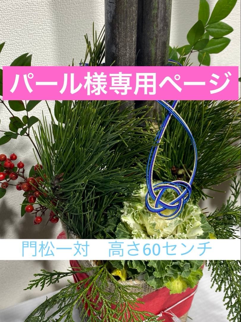 門松一対60センチ パールページ